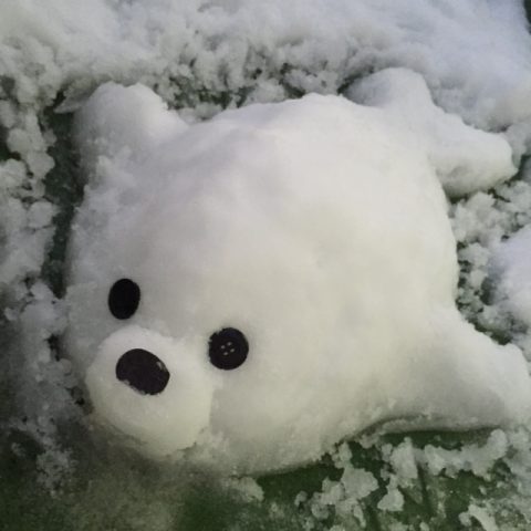 大雪　手作りあざらし